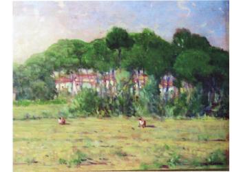 Pineta e casette a Lido di Camaiore Paese di Vacanze Pineta e casette a Lido di Camaiore Paese di Vacanze